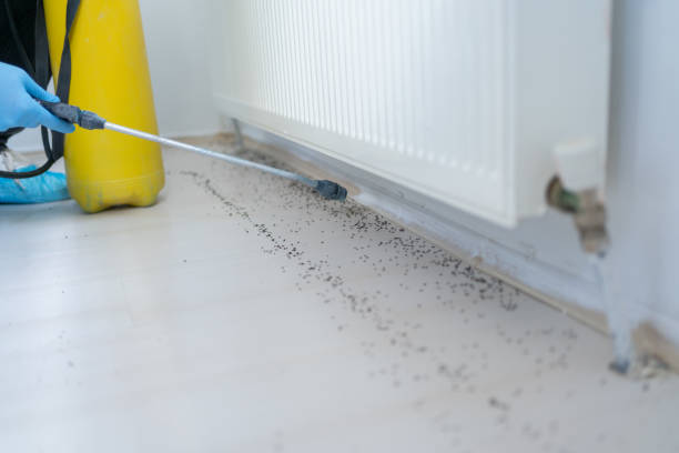 Best Best Pest Control Companies  in Farrell, PA